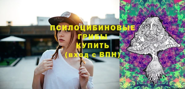 не бодяженный Алексин