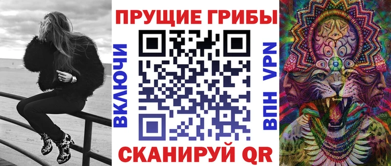 Псилоцибиновые грибы Psilocybe Магадан