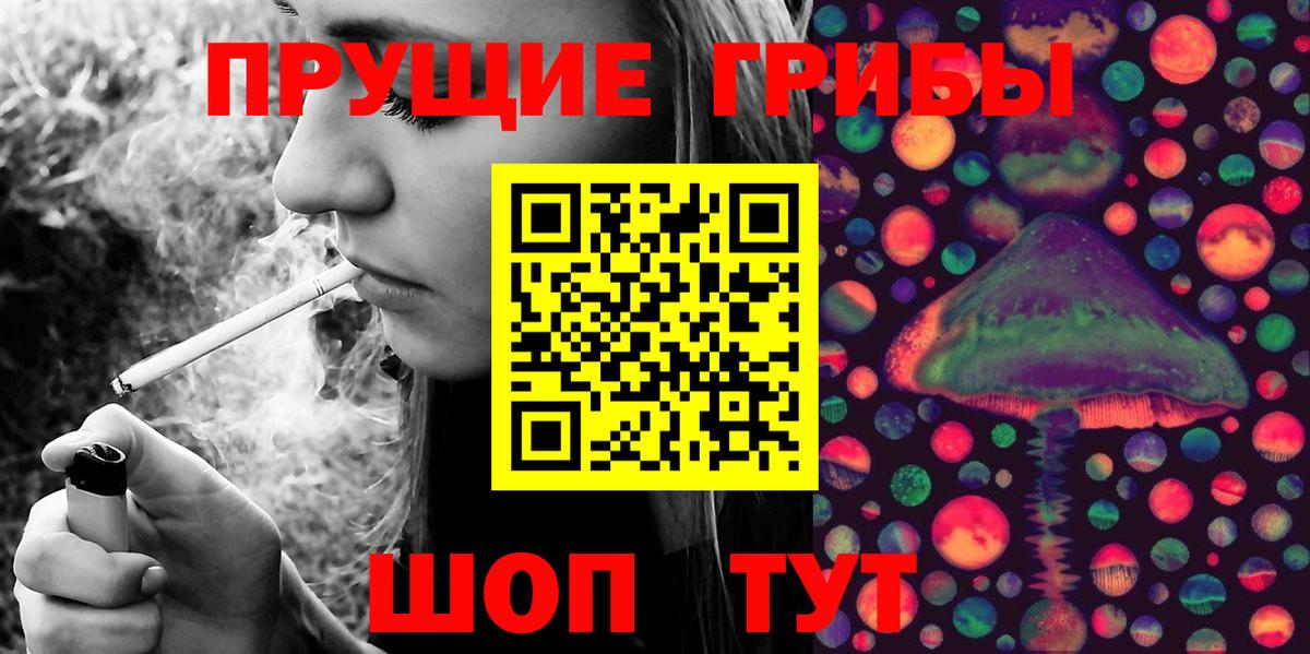 Магадан  как найти   Вход с VPN  Галлюциногенные грибы Psilocybine cubensis 